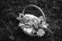 DSC09618