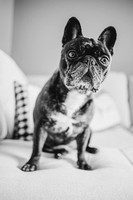 IMG_1689-2